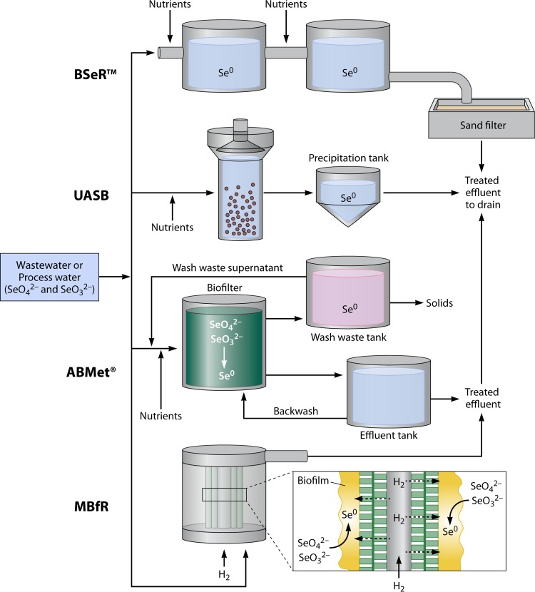 FIG 10