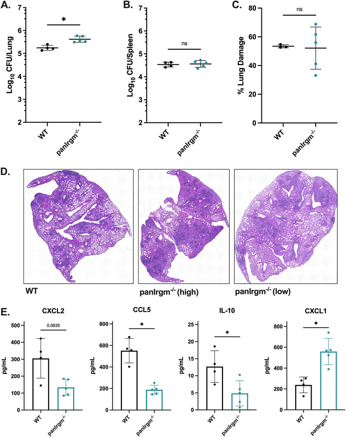 FIG 4