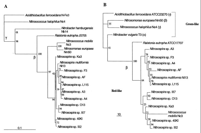 FIG. 2.