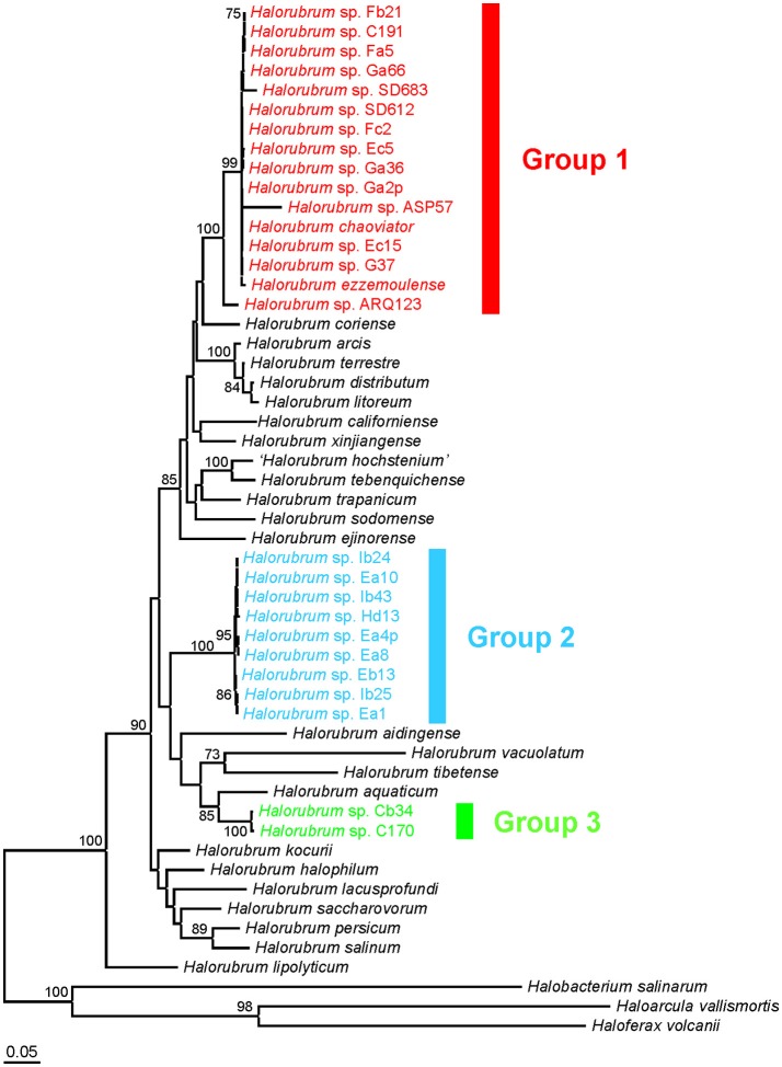 Figure 2