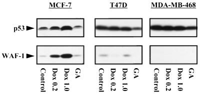 FIG. 10