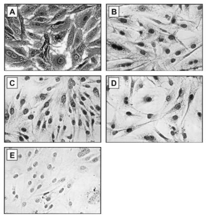 FIG. 7