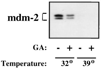 FIG. 9