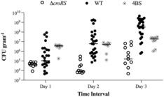 FIGURE 4