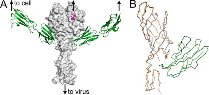 FIG 3