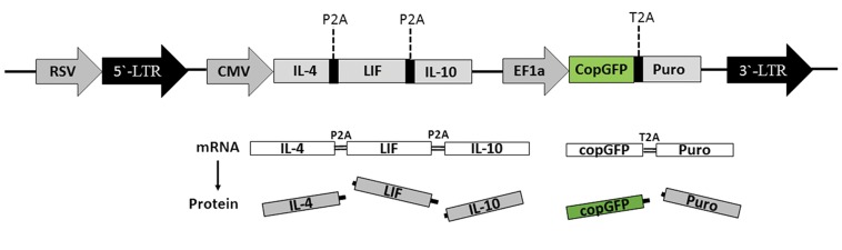 Fig.1