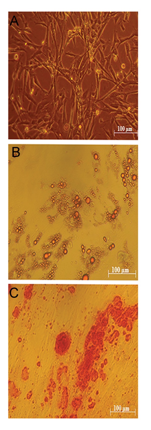 Fig.3