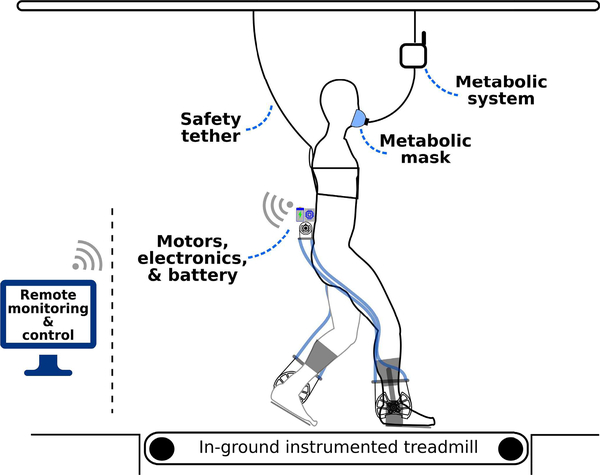 Fig. 3.