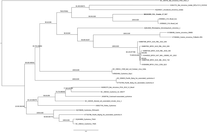 FIG 1