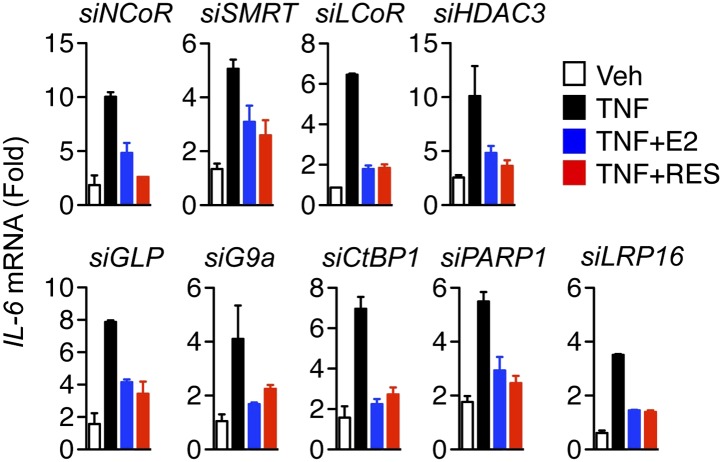 Figure 5—figure supplement 1.