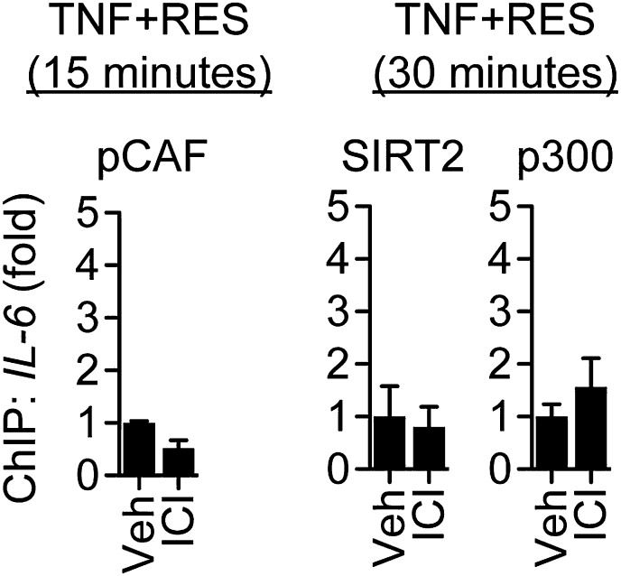 Figure 7—figure supplement 5.