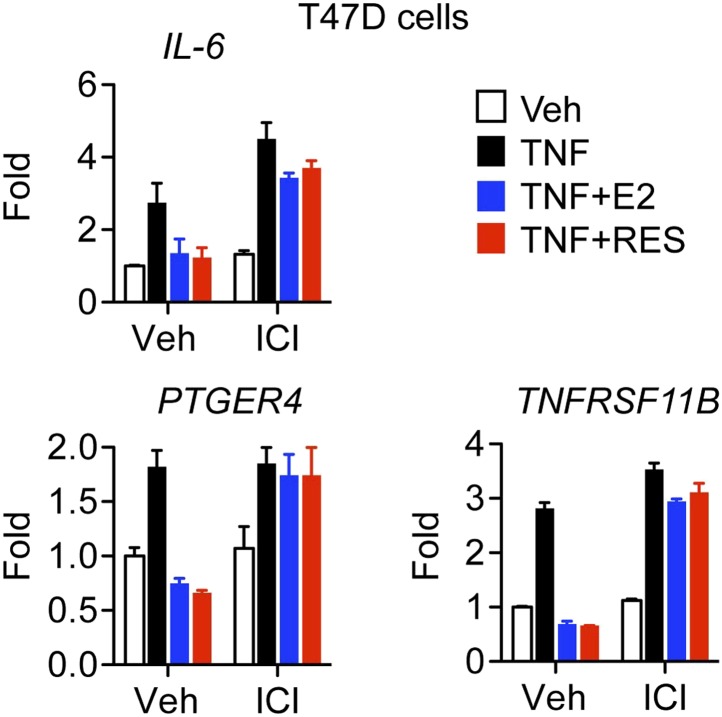 Figure 2—figure supplement 2.