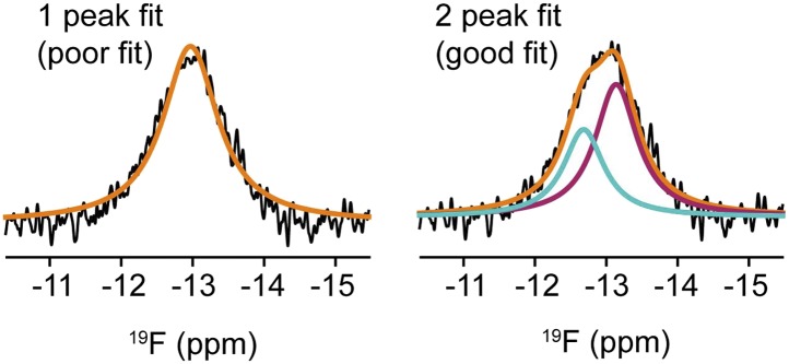 Figure 3—figure supplement 3.