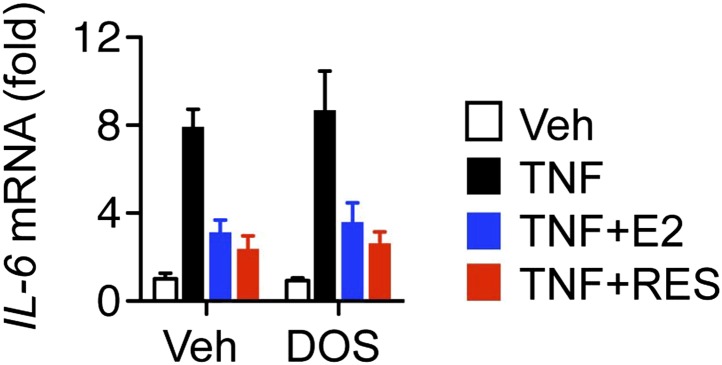 Figure 6—figure supplement 1.