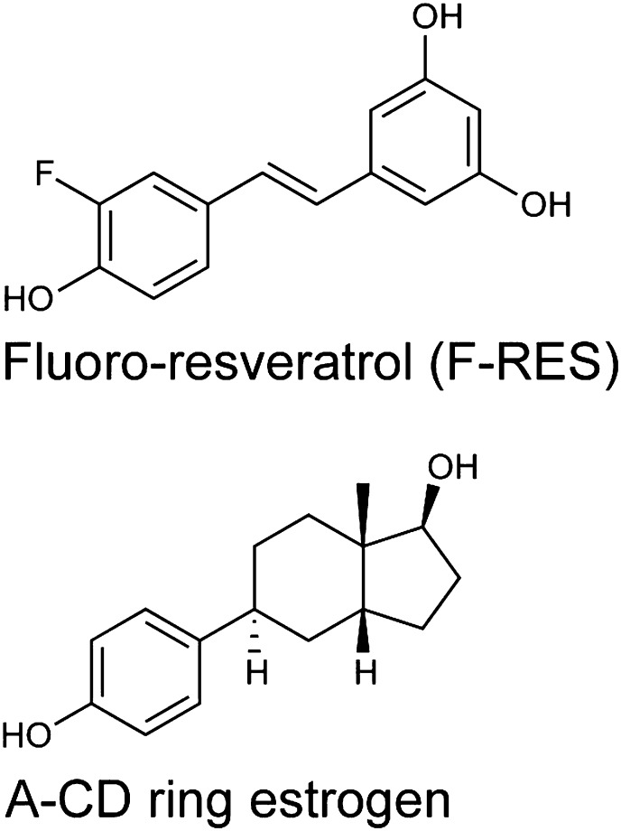 Figure 3—figure supplement 2.