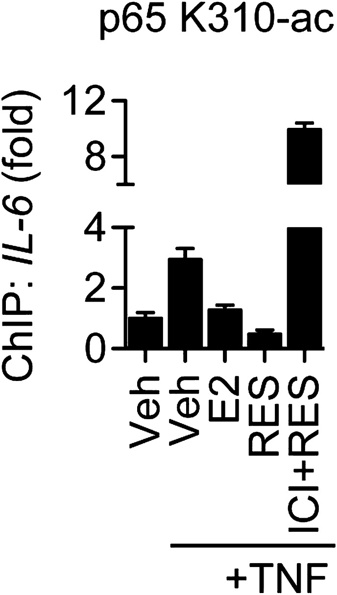 Figure 7—figure supplement 4.