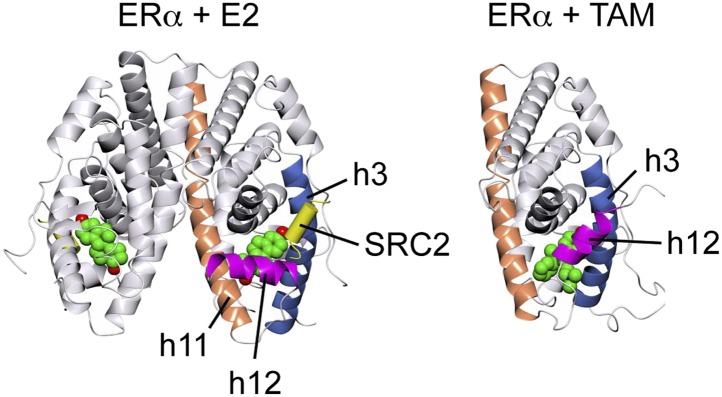 Figure 3—figure supplement 1.