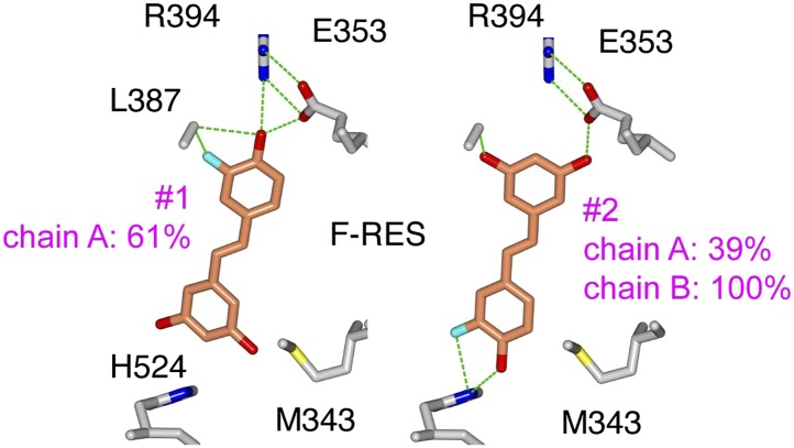 Figure 3—figure supplement 4.