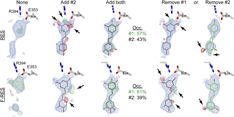 Figure 3—figure supplement 5.