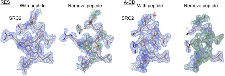 Figure 3—figure supplement 6.