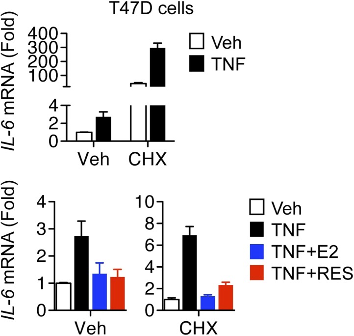 Figure 2—figure supplement 3.