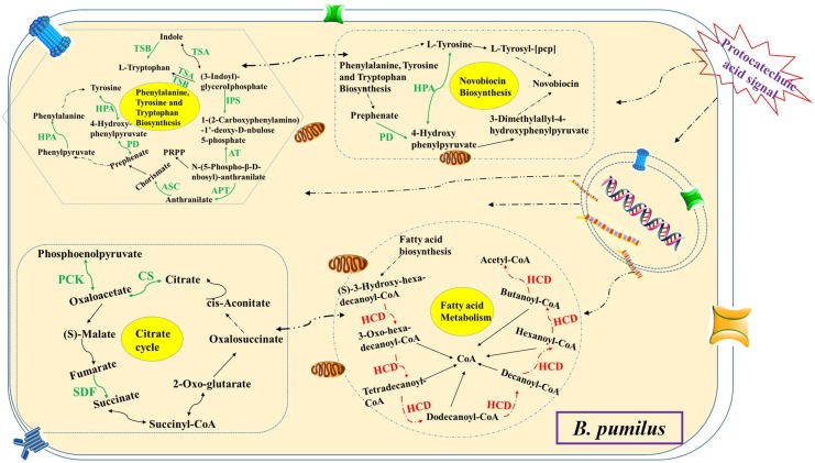 FIGURE 12