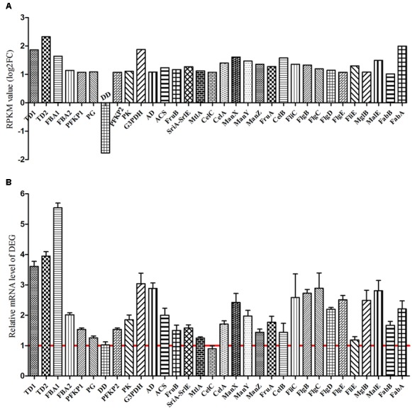 FIGURE 10