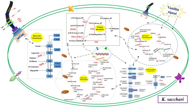 FIGURE 11