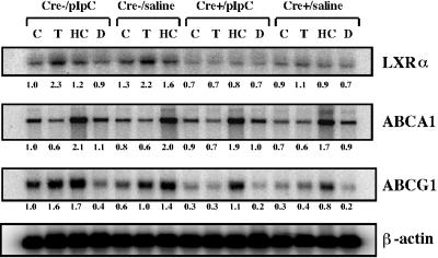 FIG. 6.