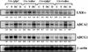 FIG. 6.