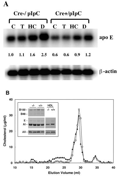 FIG. 8.