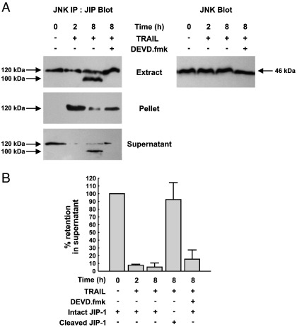 Fig. 7