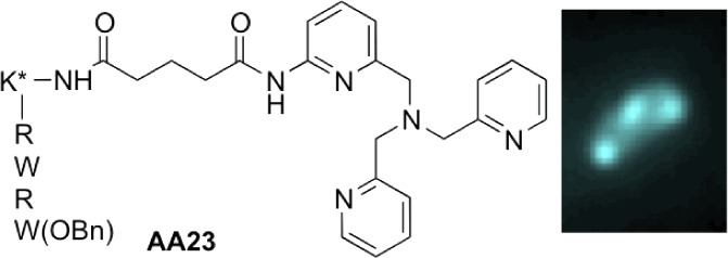 graphic file with name ml-2013-00073g_0004.jpg