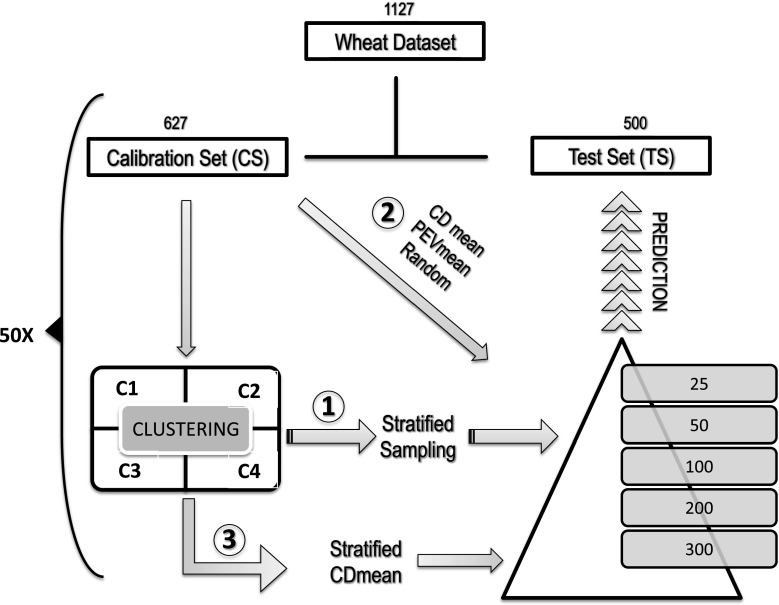 Fig. 1