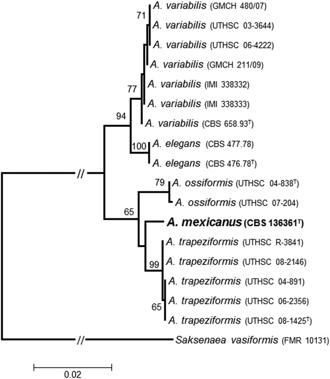 FIG 2