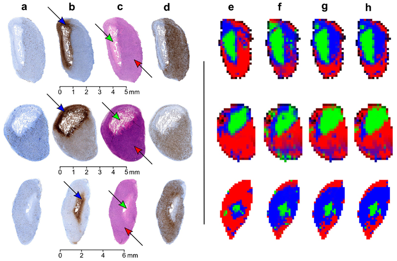 Fig. 2