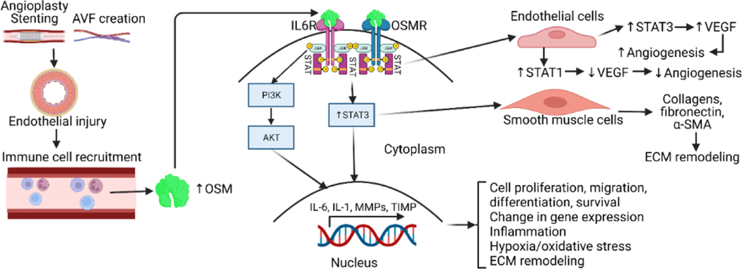 Figure 1: