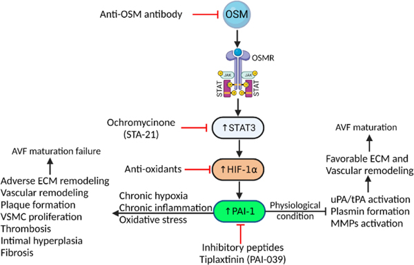 Figure 2: