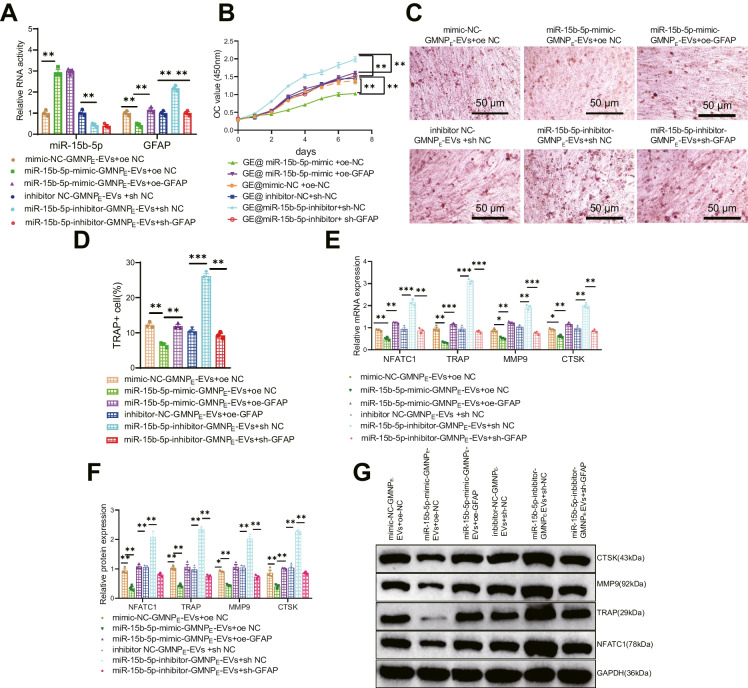 Fig. 7