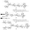 Scheme 10