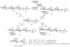 Scheme 5