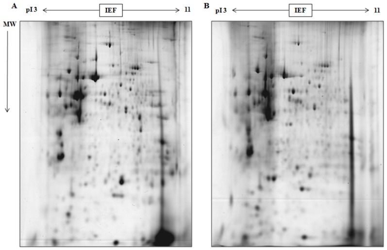 Figure 3.