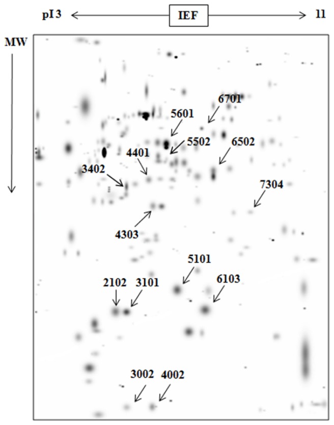 Figure 4.