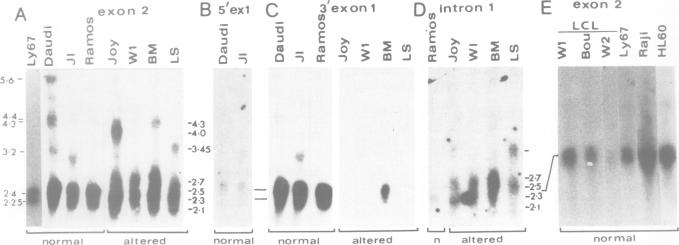 Fig. 8.