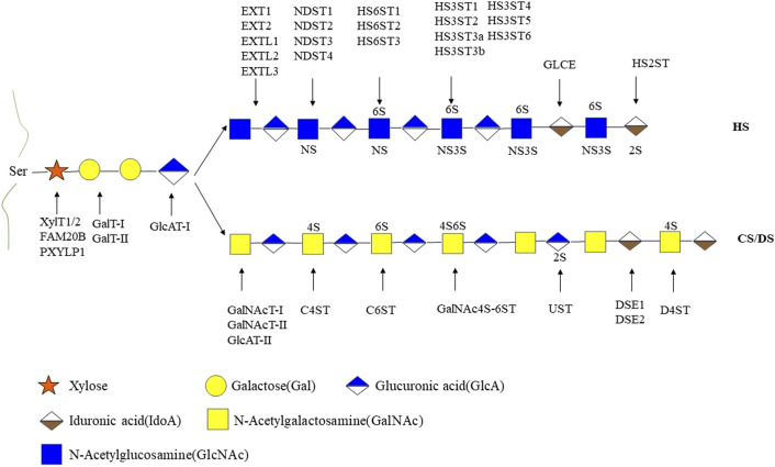 FIGURE 2