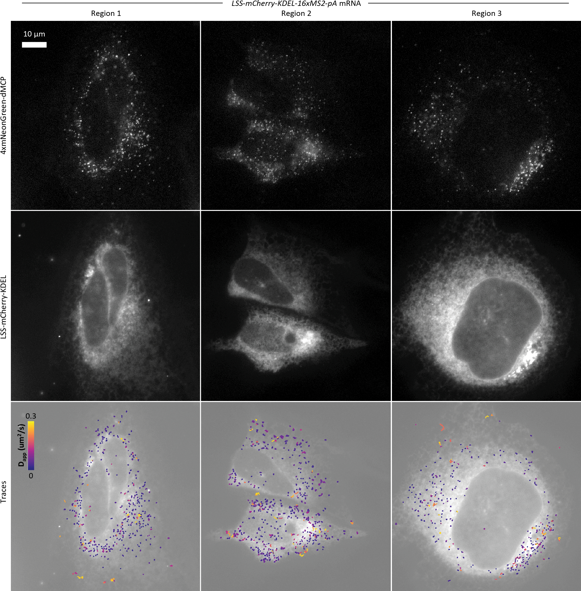 Extended Data Fig. 9