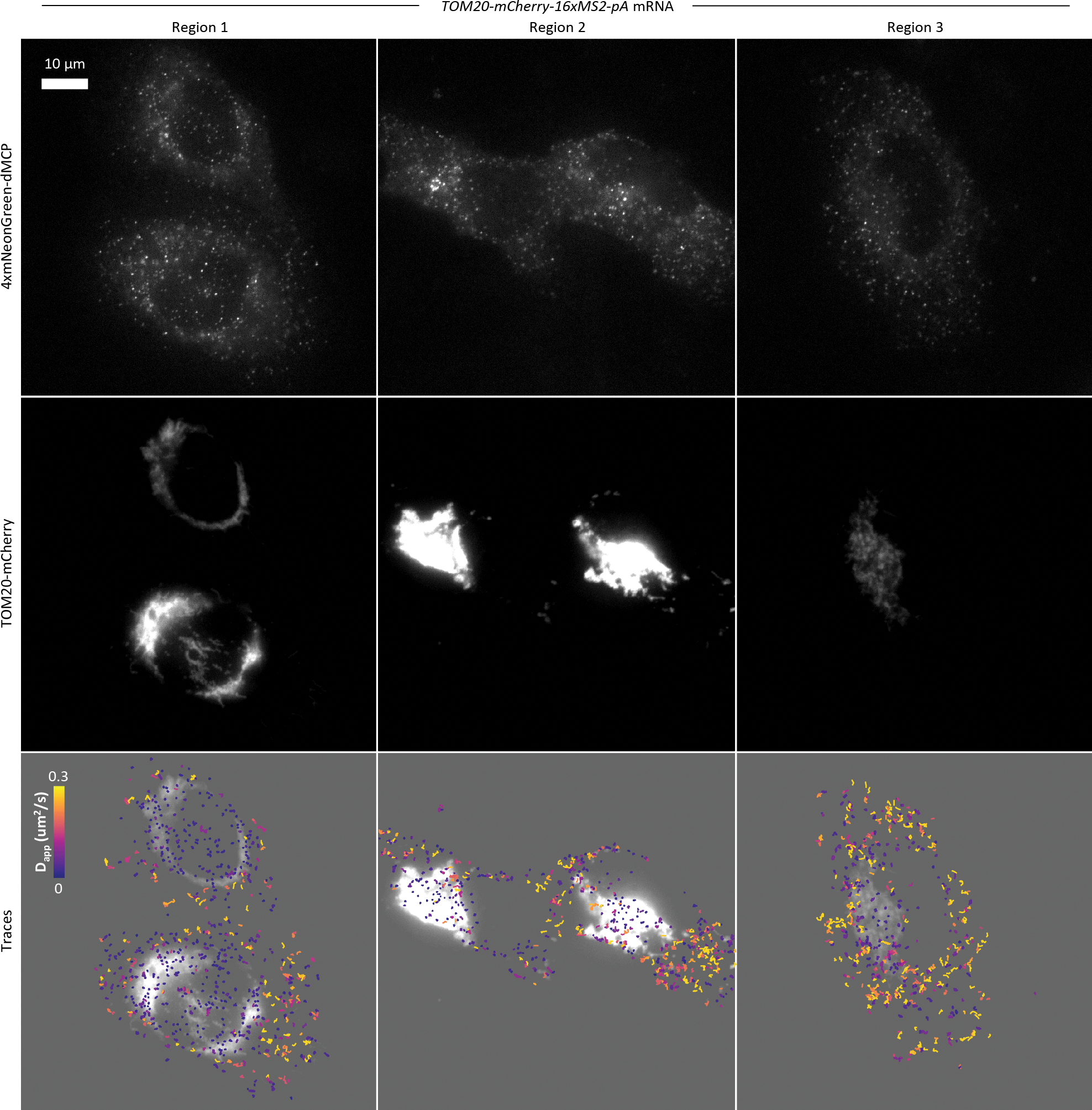 Extended Data Fig. 10
