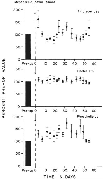 Fig. 12