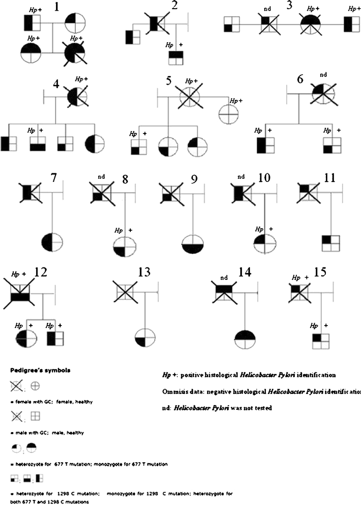 Fig. 1