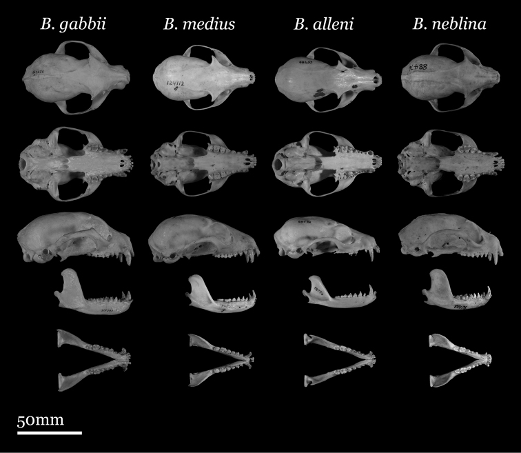 Figure 4.